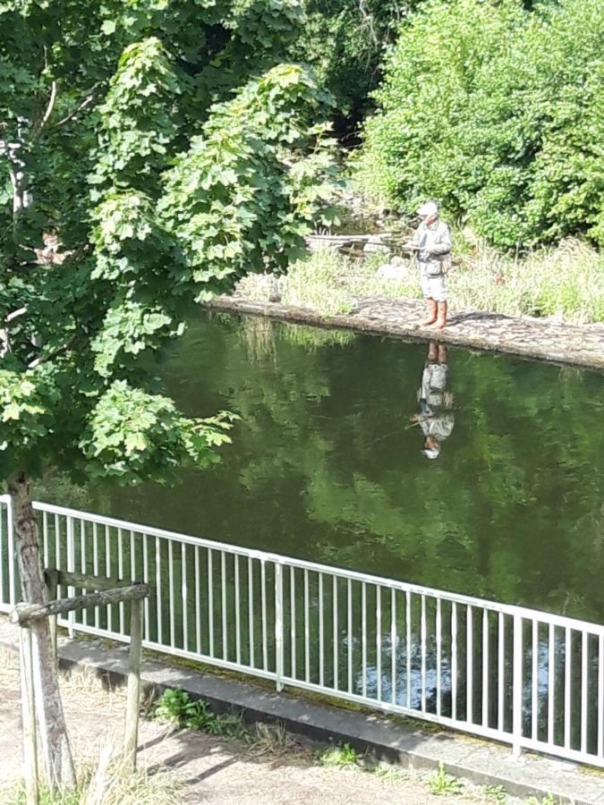 Suite Avec Vue Panoramique Sur La Truyere Entraygues-sur-Truyère Exterior foto